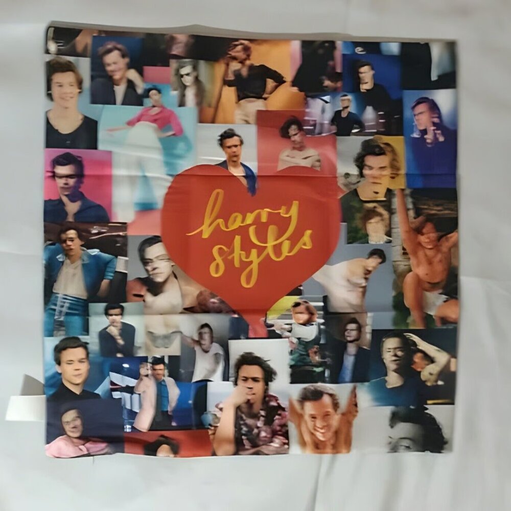 Harry Styles Collage Pillow Cover 18 x 18